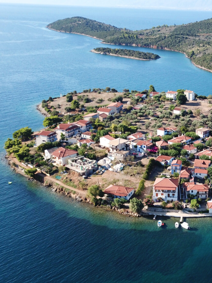trizonia